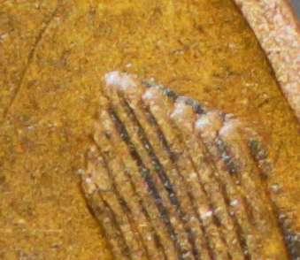 1937-P-LWC-DDR-003-Or-DDR-004?